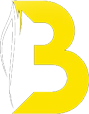 Bala Cabs Tours and Travels Kanyakumari